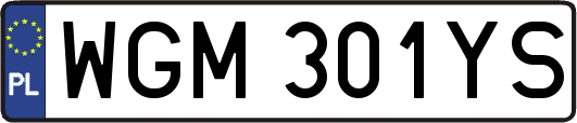 WGM301YS