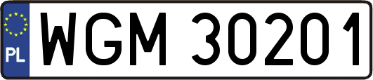 WGM30201