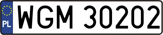 WGM30202