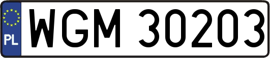 WGM30203