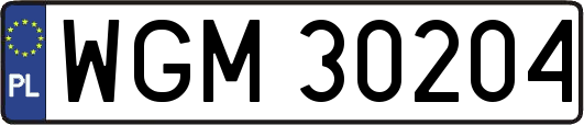 WGM30204