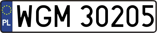 WGM30205