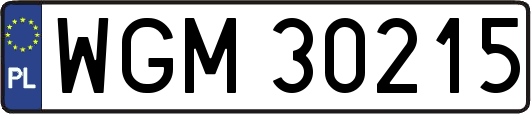 WGM30215