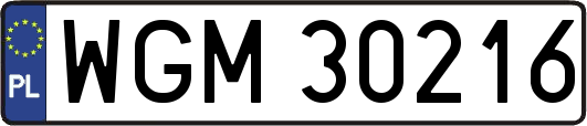 WGM30216