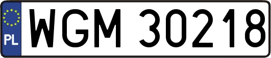 WGM30218