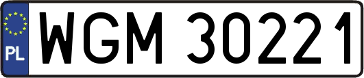 WGM30221