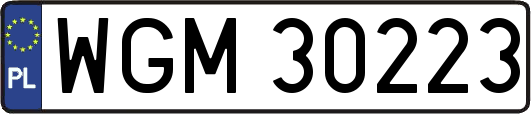 WGM30223