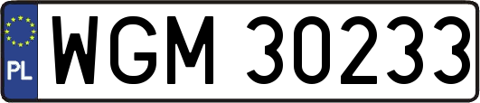 WGM30233
