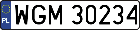 WGM30234