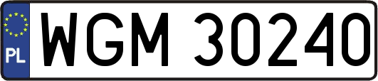 WGM30240