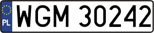 WGM30242