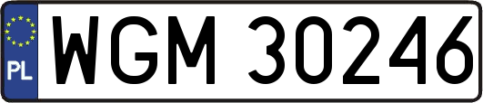 WGM30246