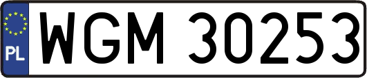 WGM30253
