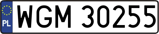 WGM30255