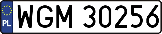 WGM30256