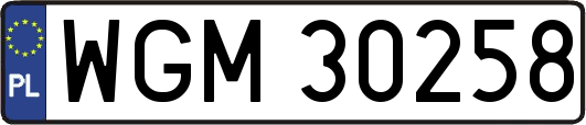 WGM30258