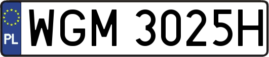 WGM3025H