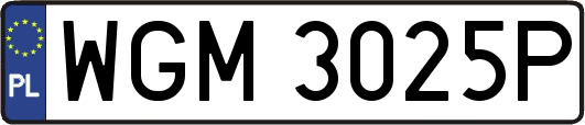 WGM3025P