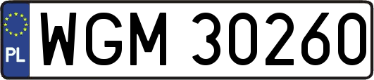 WGM30260