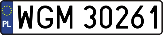 WGM30261