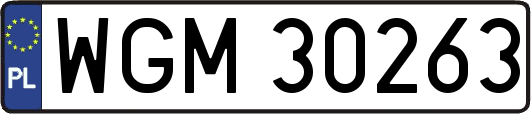 WGM30263