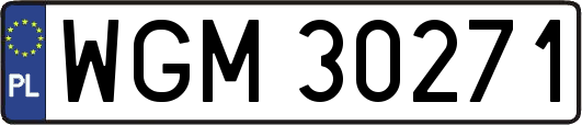 WGM30271