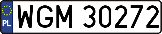WGM30272