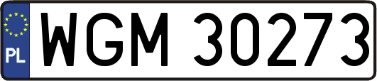 WGM30273