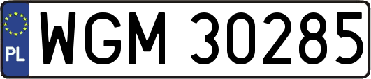 WGM30285