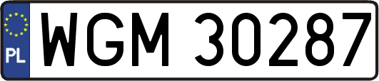 WGM30287