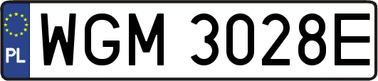 WGM3028E