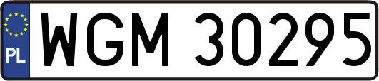 WGM30295