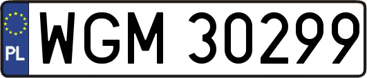 WGM30299