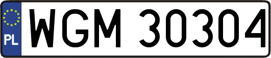 WGM30304
