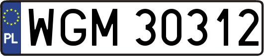 WGM30312