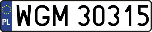 WGM30315