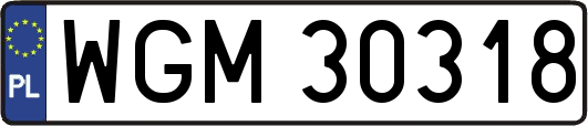 WGM30318