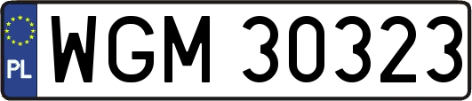 WGM30323