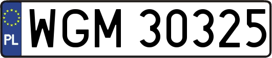 WGM30325
