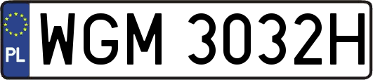 WGM3032H