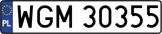 WGM30355