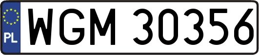 WGM30356