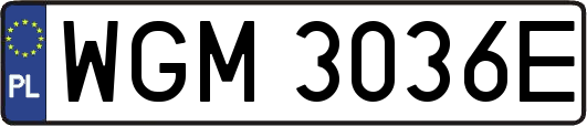 WGM3036E