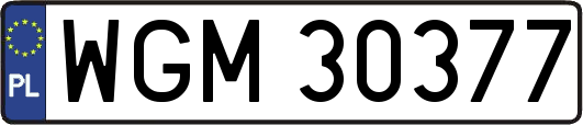 WGM30377