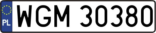 WGM30380