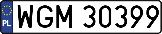 WGM30399