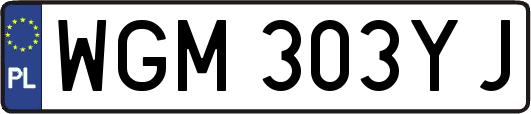 WGM303YJ