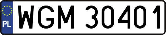 WGM30401