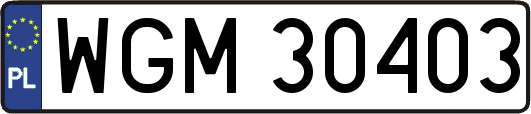 WGM30403