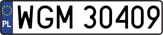 WGM30409